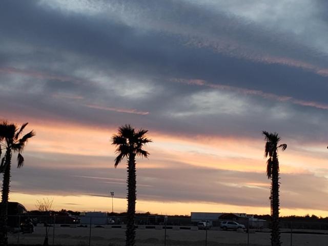 Rivercity Rv Park New Braunfels Eksteriør bilde
