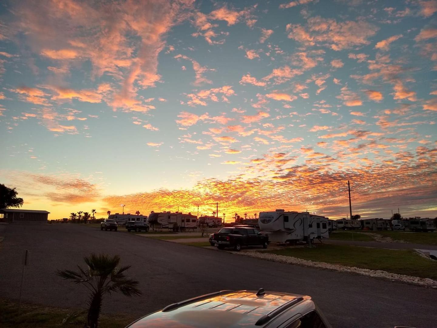 Rivercity Rv Park New Braunfels Eksteriør bilde